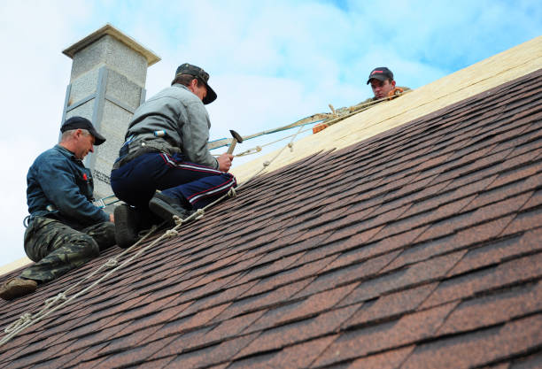 Best Storm Damage Roof Repair  in Palmetto Bay, FL
